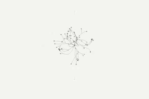 Mycelial Network, interactive pattern