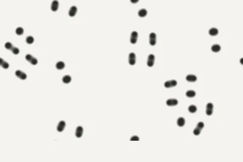Spots & Stripes, interactive pattern